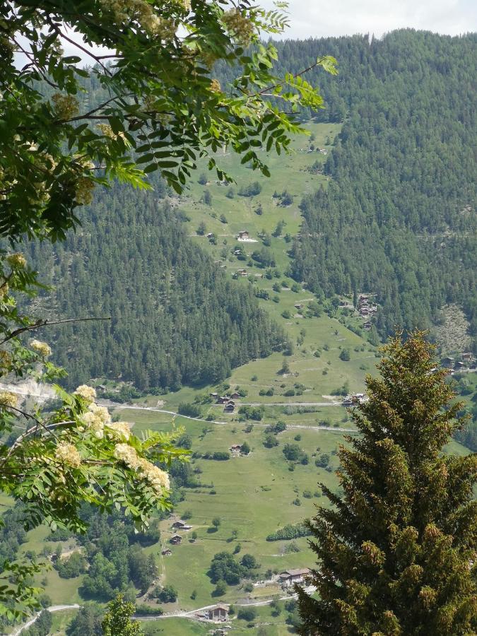 Le Cocon Du Catogne Proche Martigny Verbier - Netflix - Valettes Dış mekan fotoğraf